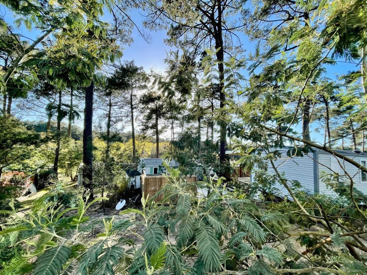 Tiny House Famille Nature Cap Ferret Claouey Exterior foto