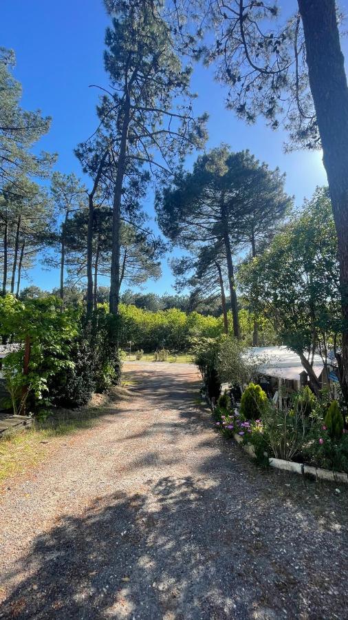 Tiny House Famille Nature Cap Ferret Claouey Exterior foto